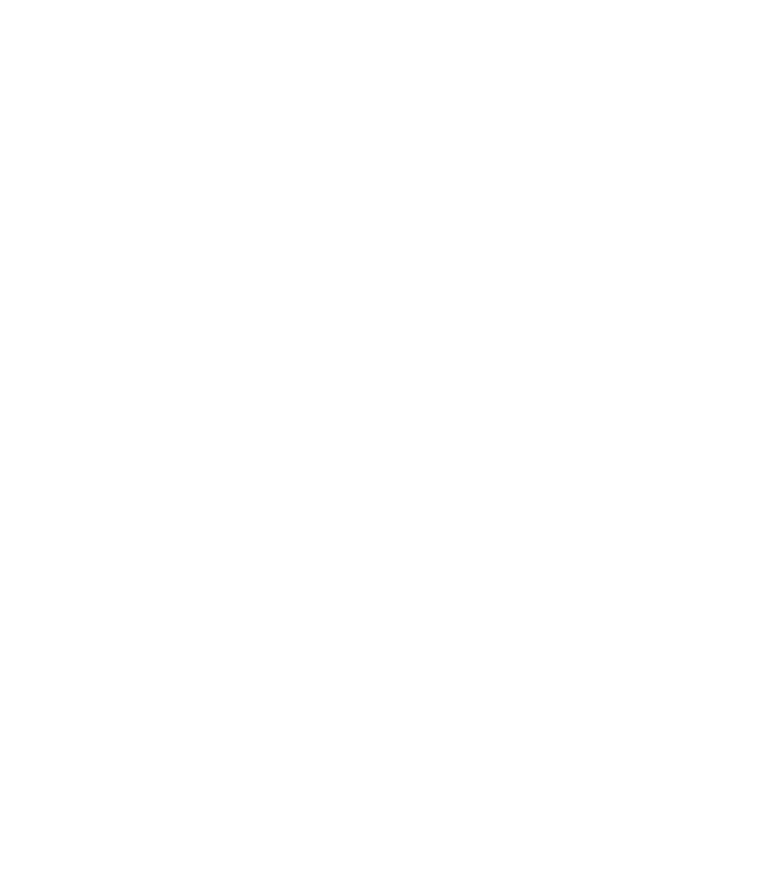 VERTICAL SPECIALTIES INC.